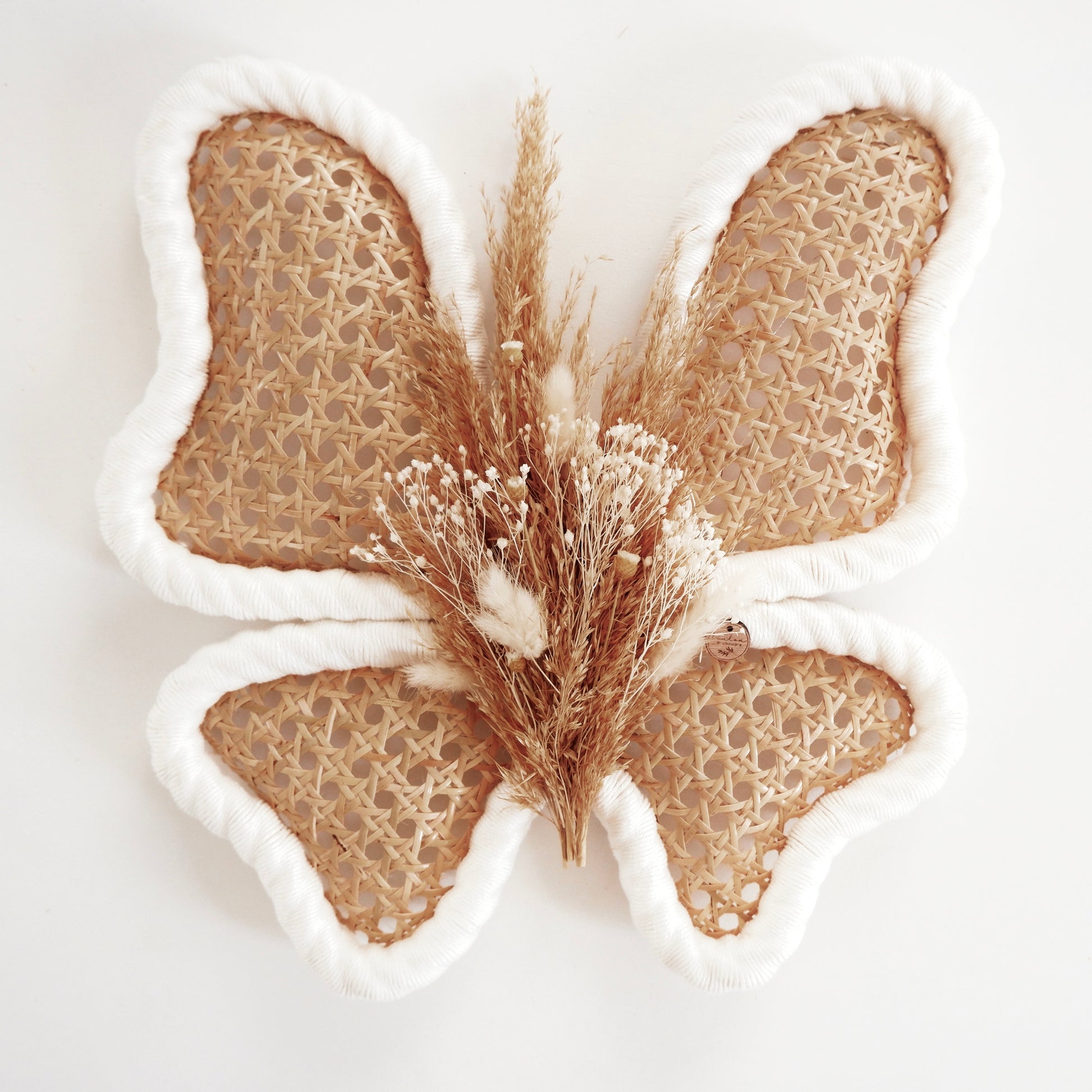 Papillon